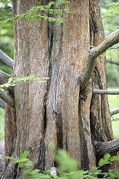 《刺客信条：奥德赛》Steam新史低 29.8元即可入手